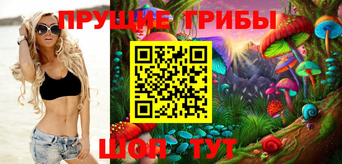 Кунгур  Галлюциногенные грибы MAGIC MUSHROOMS  Вход с VPN 