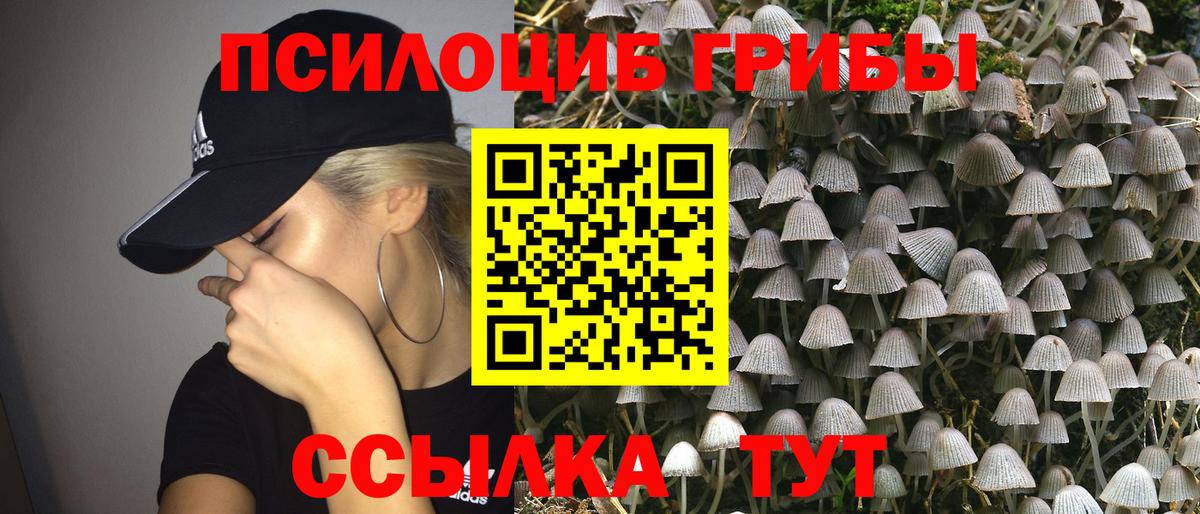 Псилоцибиновые грибы Magic Shrooms Кунгур